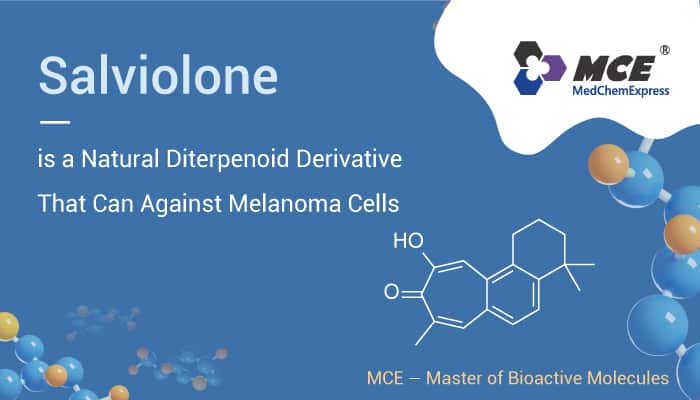Salviolone is A Naatural Product 2023 0112 - Salviolone is a Natural Diterpenoid Derivative That Can Against Melanoma Cells