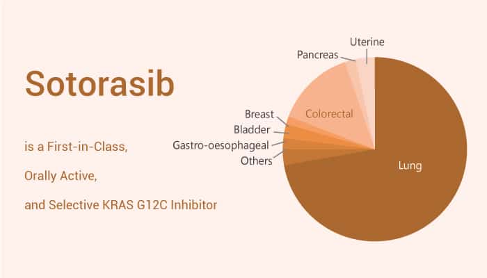 Sotorasib is a First in Class Orally Active and Selective KRAS G12C Inhibitor 2019 12 12 - Sotorasib is a First-in-Class, Orally Active, and Selective KRAS G12C Inhibitor