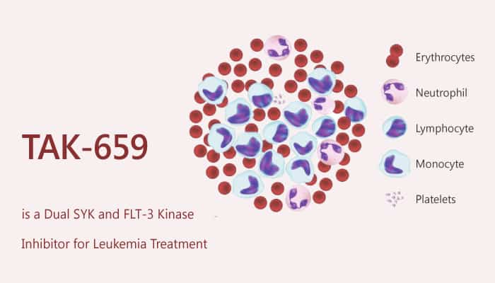 TAK 659 is a Dual SYK and FLT 3 Kinase Inhibitor for Leukemia Treatment 2019 08 08 - TAK-659 is a Dual SYK and FLT-3 Kinase Inhibitor for Leukemia Treatment