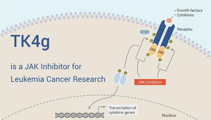 TK4g is A JAK Inhibitor 2022 0920 - TK4g is a JAK Inhibitor for Leukemia Cancer Research