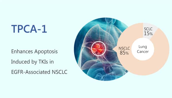 TPCA 1 a Direct Dual Inhibitor of STAT3 and NFkB Regresses Mutant EGFR Associated NSCLC 2019 07 15 - TPCA-1, a Direct Dual Inhibitor of STAT3 and NF-κB, Regresses Mutant EGFR-Associated NSCLC