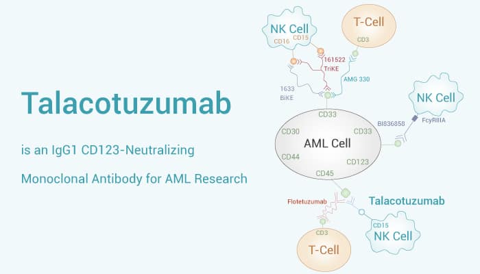 Talacotuzumab is An CD123 Antibody 2023 0203 - Talacotuzumab is an IgG1 CD123-Neutralizing Monoclonal Antibody