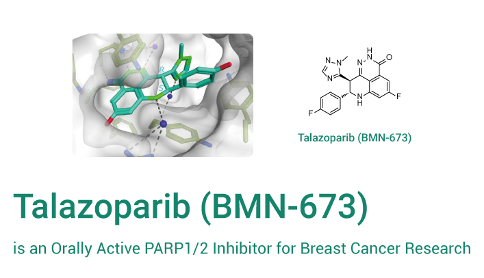 Talazoparib is A Parp1 Inhibitor 2023 0522 - Talazoparib (BMN-673) is an Orally Active PARP1/2 Inhibitor for Cancer Research