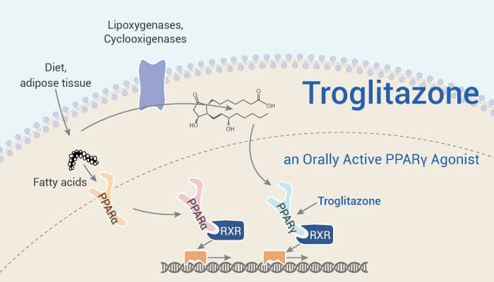 Troglitazone is an Orally Active PPARγ Agonist 2021 11 30 - Troglitazone is an Orally Active PPARγ Agonist