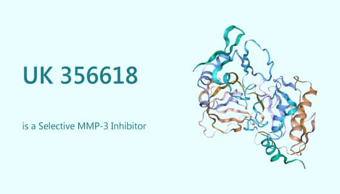 UK 356618 is a Selective MMP 3 Inhibitor 2019 12 25 - UK 356618 is a Selective MMP-3 Inhibitor