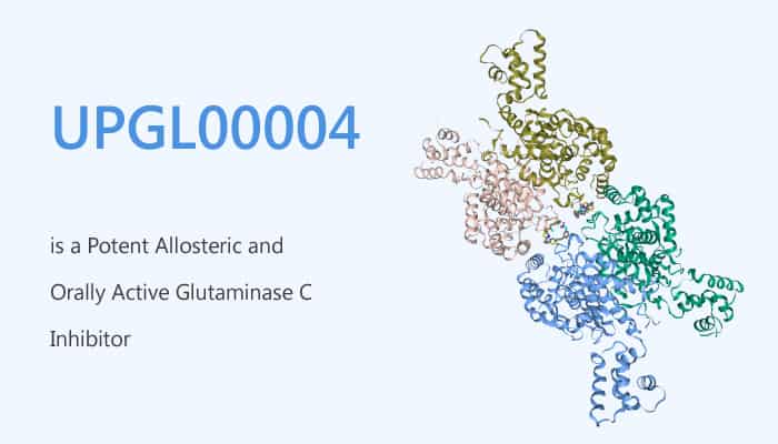 UPGL00004 is a Potent Allosteric and Orally Active Glutaminase C Inhibitor 2019 09 16 - UPGL00004 is a Potent Allosteric and Orally Active Glutaminase C Inhibitor