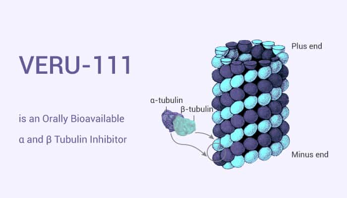 VERU 111 is an Orally Bioavailable α and β Tubulin Inhibitor 2020 12 10 - VERU-111 is an Orally Bioavailable α and β Tubulin Inhibitor