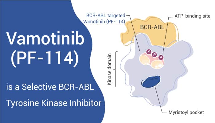 Vamotinib is a Potent Kinase Inhibitor 2022 0813 - Vamotinib (PF-114) is a Potent, Selective and Orally Active Tyrosine Kinase Inhibitor