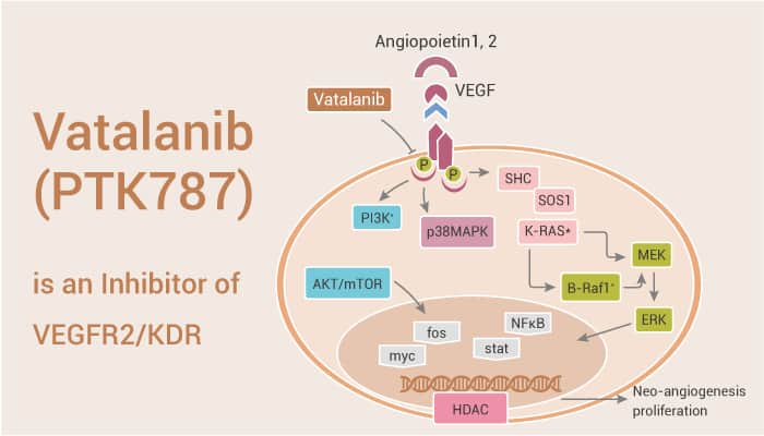 Vatalanib 2022 0612 - Vatalanib (PTK787) is an Inhibitor of VEGFR2/KDR