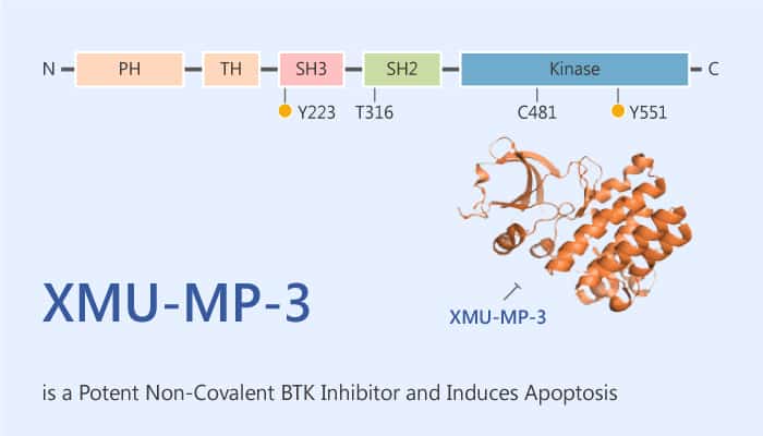 XMU MP 3 is a Potent Non Covalent BTK Inhibitor and Induces Apoptosis 2020 07 02 - XMU-MP-3 is a Potent Non-Covalent BTK Inhibitor and Induces Apoptosis