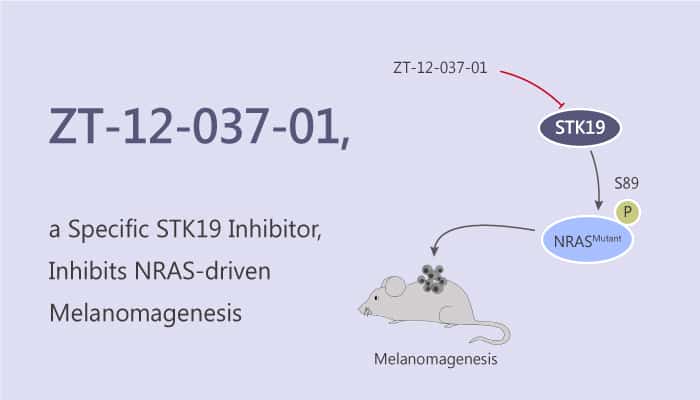 ZT 12 037 01 a Specific STK19 Inhibitor Inhibits NRAS driven Melanomageneis 2019 08 17 - ZT-12-037-01, a Specific STK19 Inhibitor, Inhibits NRAS-driven Melanomagenesis