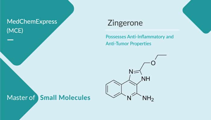 Zingerone an Orally Active Nontoxic Methoxyphenol Possesses Anti Inflammatory and Anti Tumor Properties 2022 01 28 - Zingerone, an Orally Active Nontoxic Methoxyphenol, Possesses Anti-Inflammatory and Anti-Tumor Properties